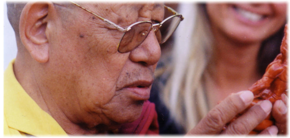 Lopon Tsechu Rinpoche